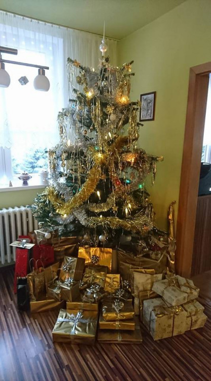 Vánoční stromečky 2017