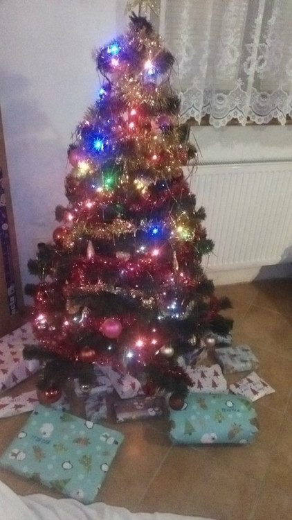 Vánoční stromečky 2017