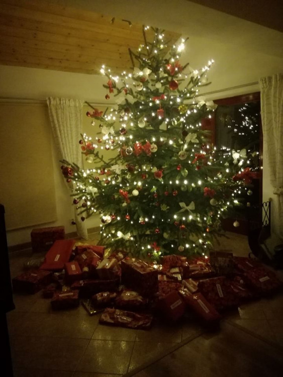 Vánoční stromečky 2017