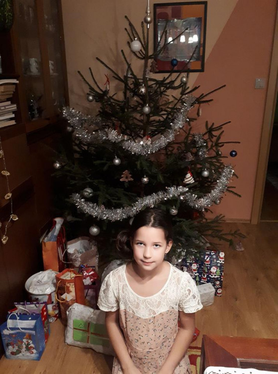 Vánoční stromečky 2017