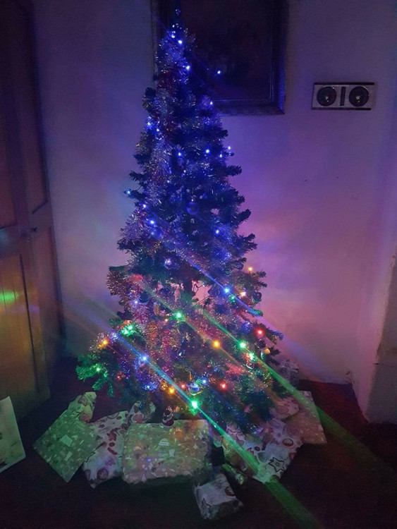 Vánoční stromečky 2017