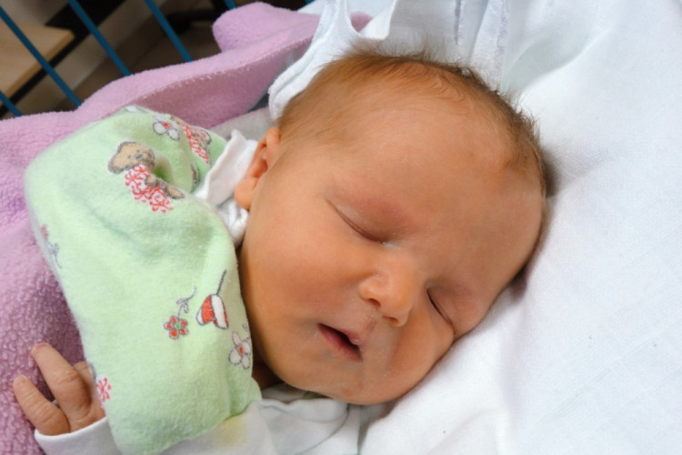 Bubnová Julie Elena