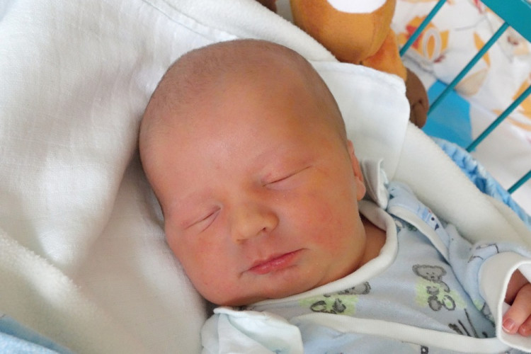 Nachlinger František