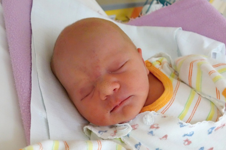 Ševčíková Monika