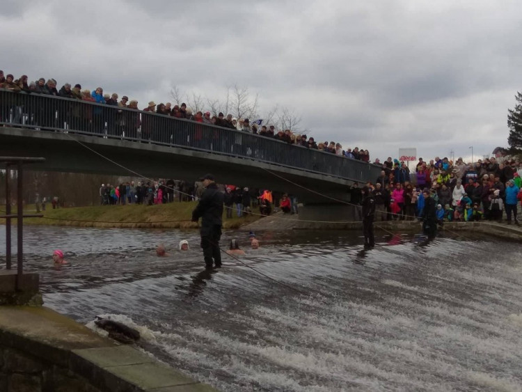 Novoroční koupání v Jihlavě 2018