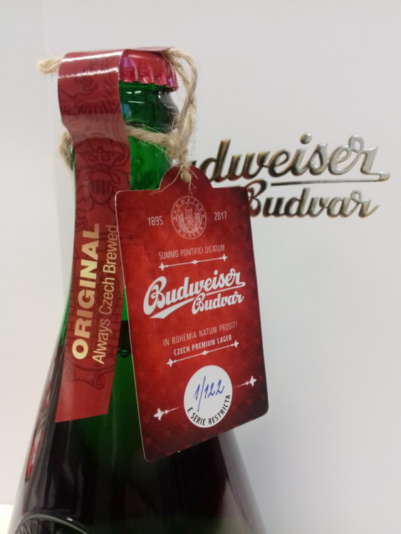 Jihočeši se osobně setkali s papežem Františkem