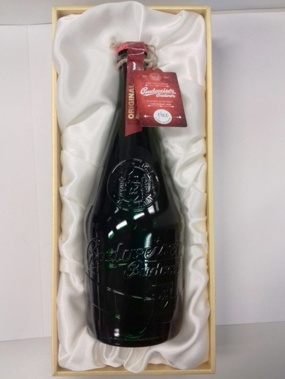 Jihočeši se osobně setkali s papežem Františkem