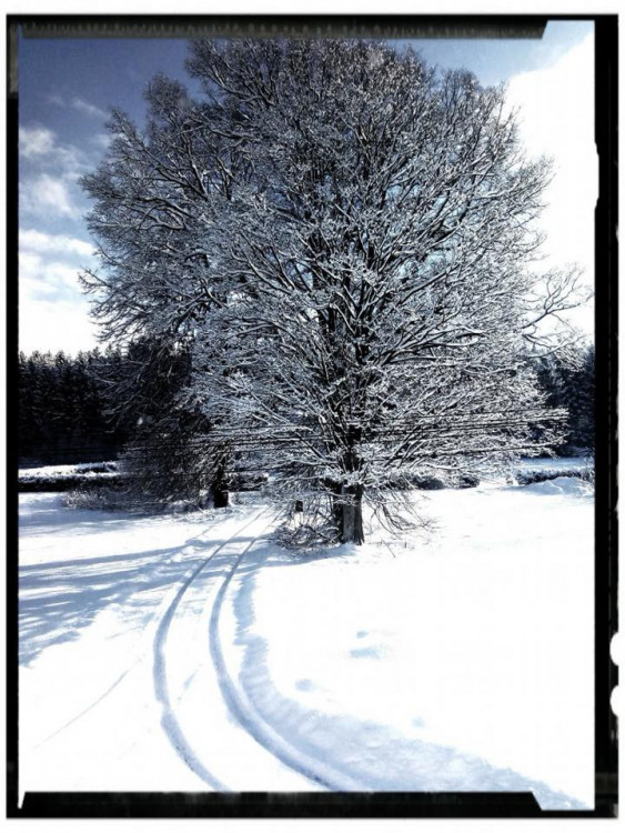 Zasněžená krajina v hledáčku Jihočechů