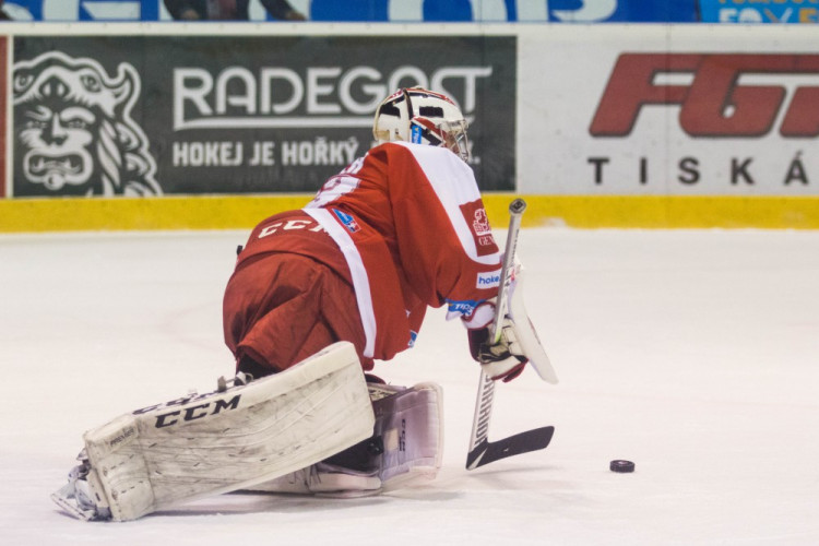 Kohouti po delší době vyhráli doma, Litvínov porazili 4:2