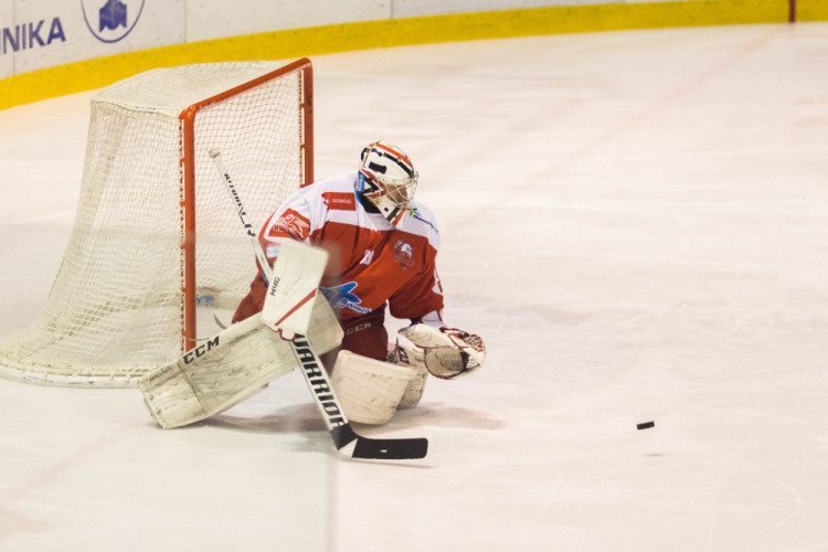 Kohouti po delší době vyhráli doma, Litvínov porazili 4:2