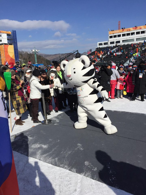 Jihočeši na olympiádě v Koreji