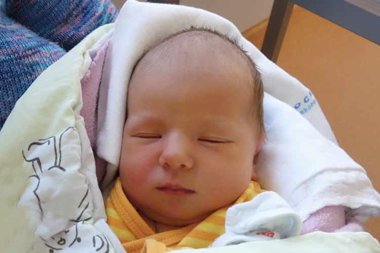 Hrušková Štěpánka