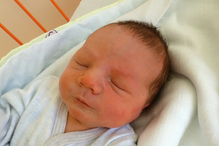 Koller Antonín Petr