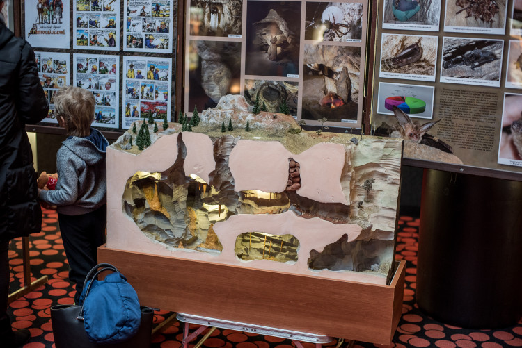 Únorová Dětská neděle v CineStaru Čtyři Dvory