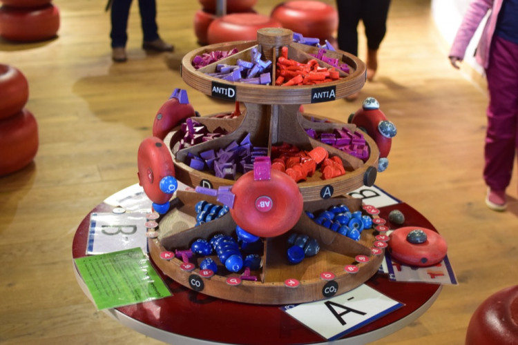 Dny mozku přilákaly první den do Pevnosti poznání stovky návštěvníků