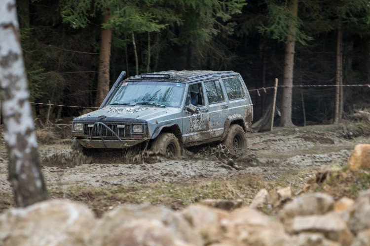 Jarní Pístovské mokřady 2018