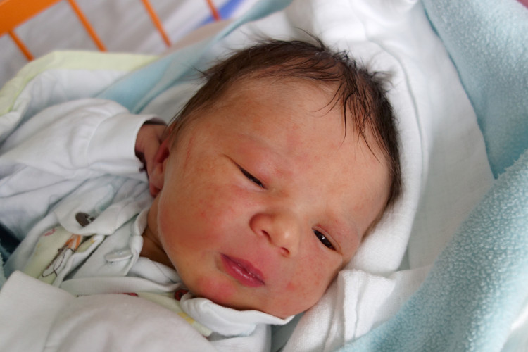 Ferenčíková Elena