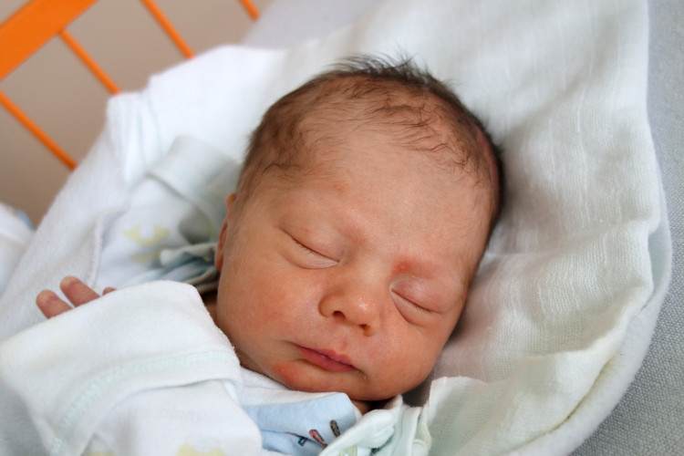 Pohlodko Edward Zdeněk