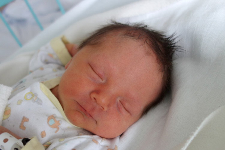 Šenkýřová Amálie