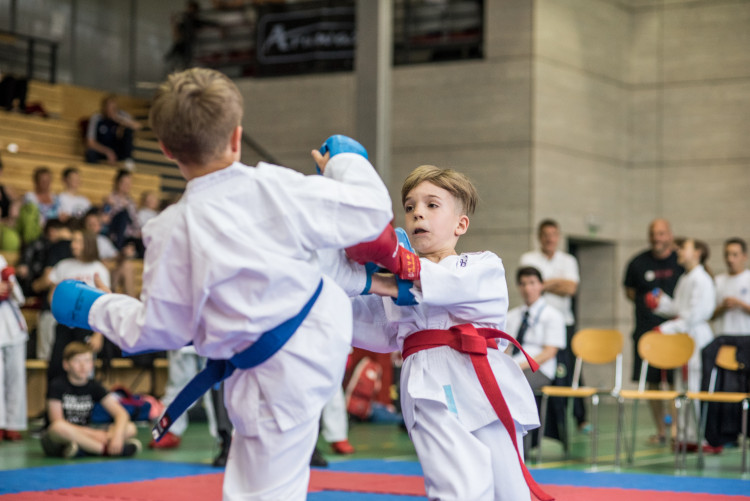 Karatisté z Čech i ciziny se utkali v dvoudenním klání v Českých Budějovicích