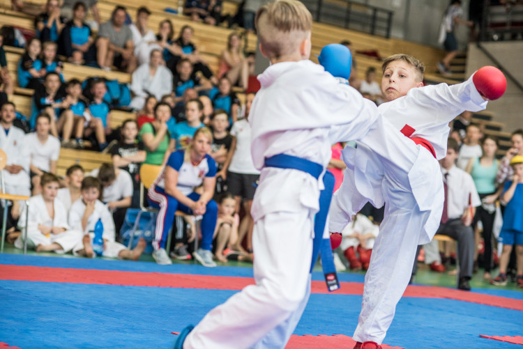 Karatisté z Čech i ciziny se utkali v dvoudenním klání v Českých Budějovicích