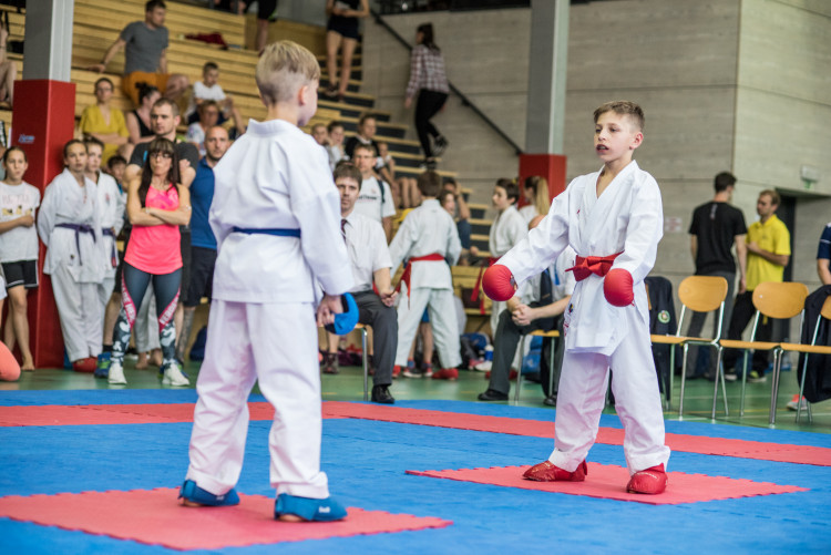 Karatisté z Čech i ciziny se utkali v dvoudenním klání v Českých Budějovicích