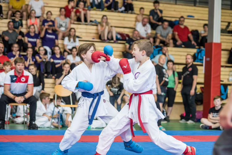 Karatisté z Čech i ciziny se utkali v dvoudenním klání v Českých Budějovicích