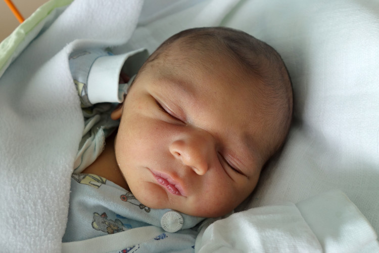 Kica Norbert Alexandr