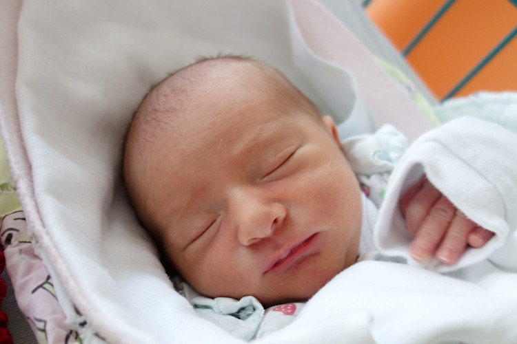 Křížová Kateřina