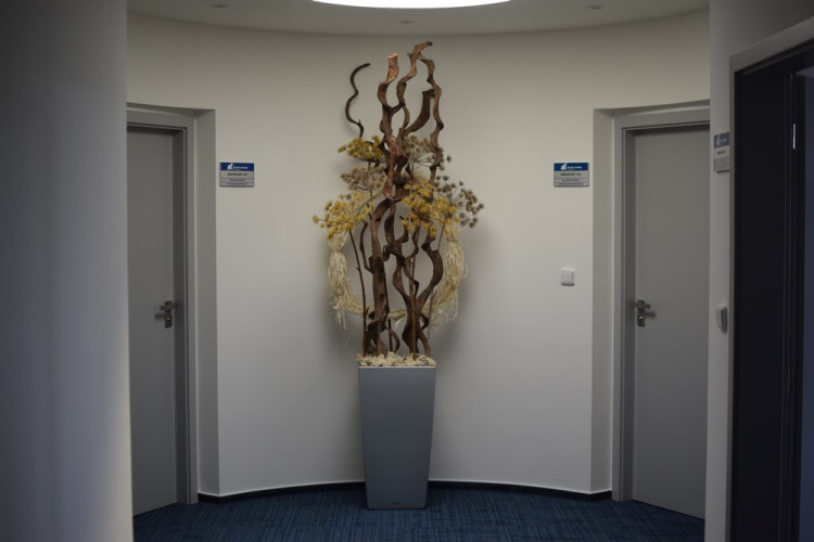 Hroší stavby Morava si v Olomouci postavily hroší sen, teď nabírají zaměstnance