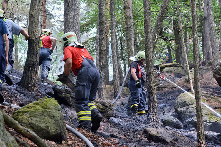 Požár lesa u obce Korce na Českolipsku