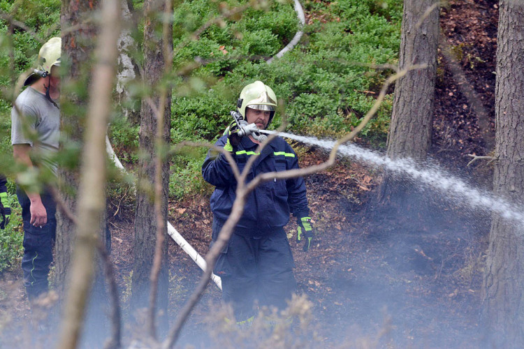 Požár lesa u obce Korce na Českolipsku