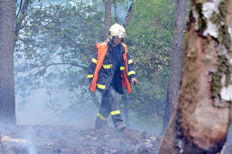 Požár lesa u obce Korce na Českolipsku