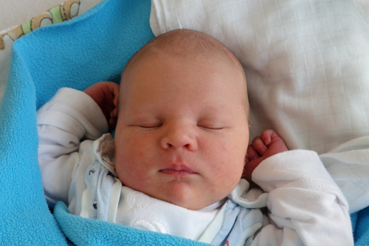 Lahodný David František