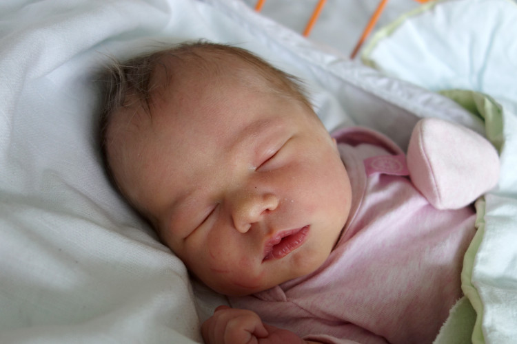 Mandelíková Adriana