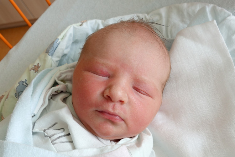 Matějíčková Kateřina