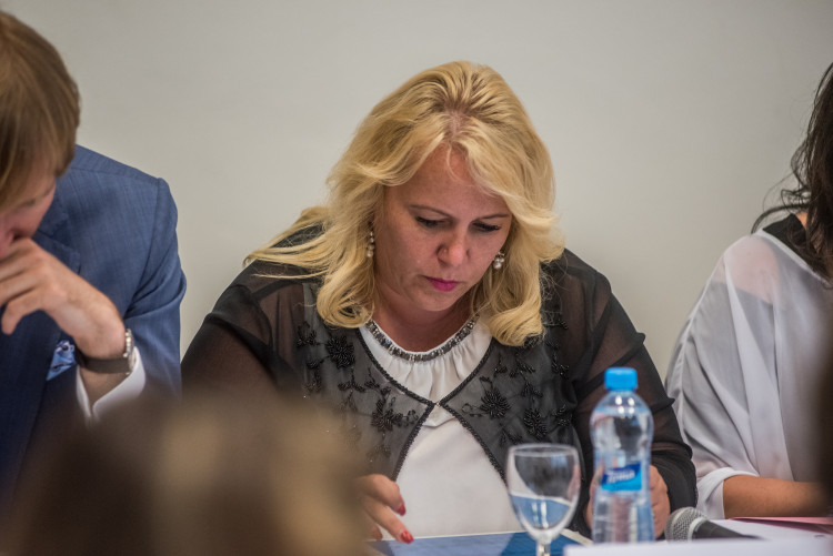 Vláda v demisi v Českých Budějovicích