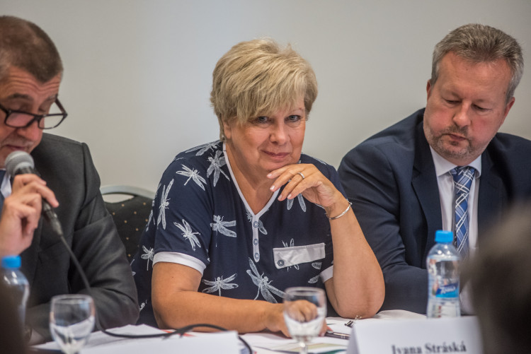 Vláda v demisi v Českých Budějovicích