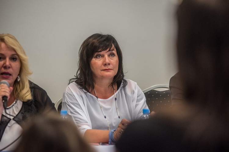 Vláda v demisi v Českých Budějovicích