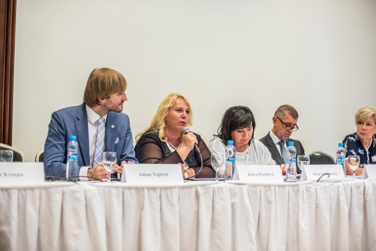 Vláda v demisi v Českých Budějovicích