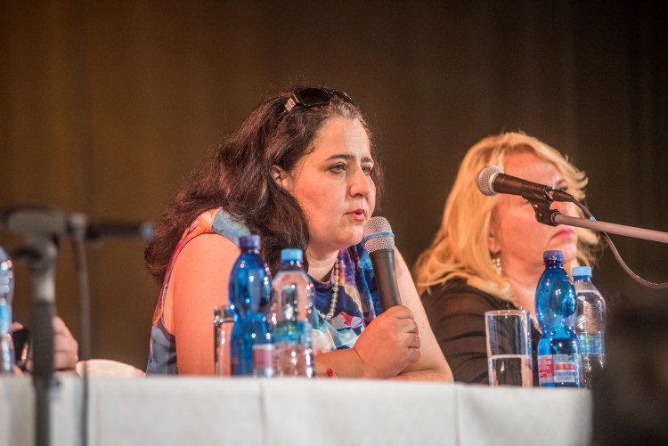 Vláda v demisi v Českých Budějovicích