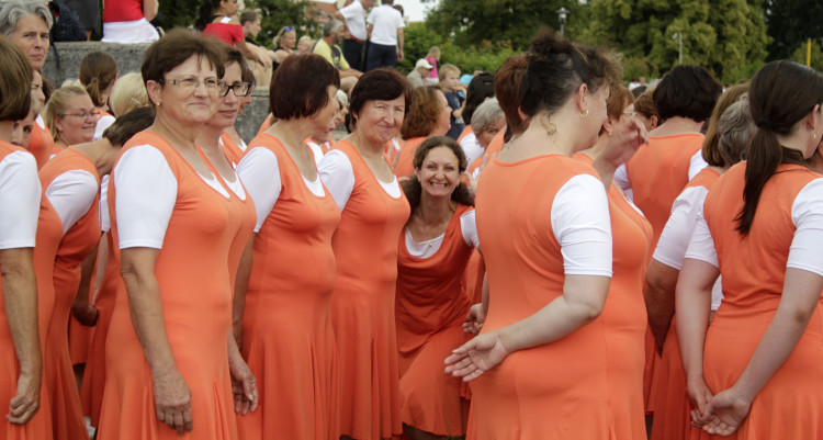 Všesokolský župní slet v Českých Budějovicích