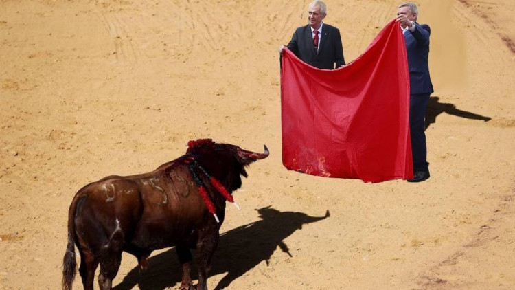 Miloš Zeman a koláže