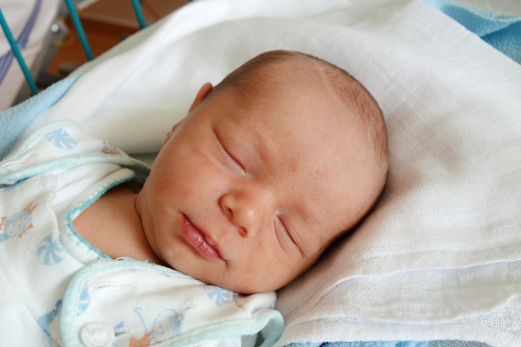 Fedra Maxmilian Dominik