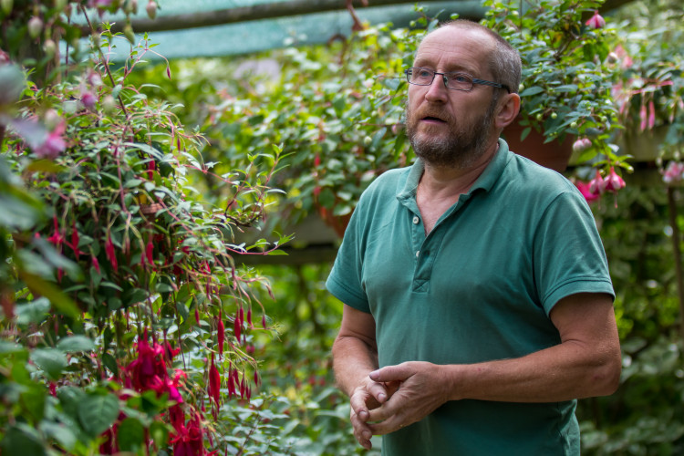 Fuchsie výstava Liberec 2018 Jiří Plachý