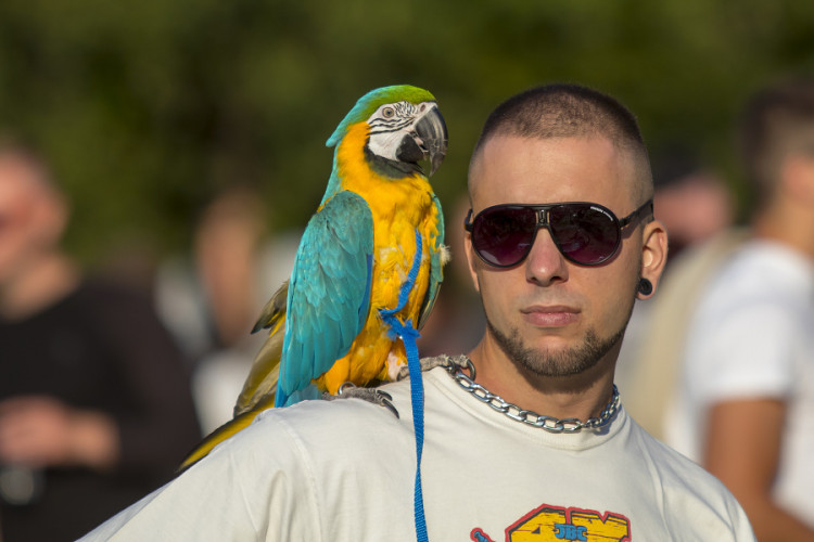 JBC 4XRevelations 2018