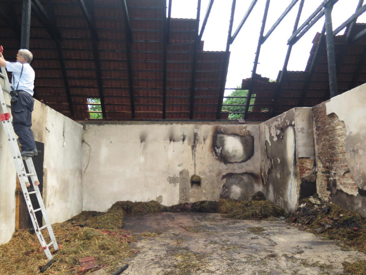 Požár stájí způsobil škodu za tři milióny, koně vyvázli bez zranění.