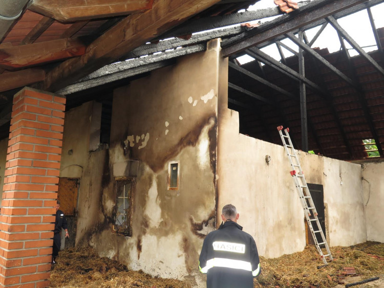 Požár stájí způsobil škodu za tři milióny, koně vyvázli bez zranění.