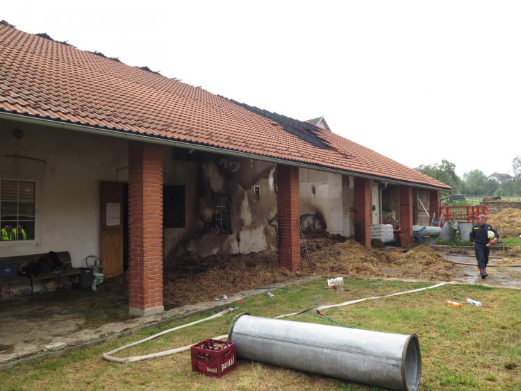 Požár stájí způsobil škodu za tři milióny, koně vyvázli bez zranění.