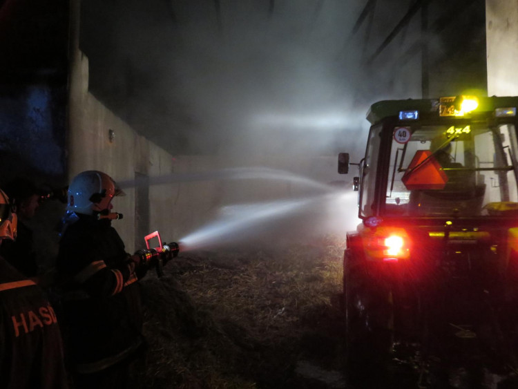 Požár stájí způsobil škodu za tři milióny, koně vyvázli bez zranění.